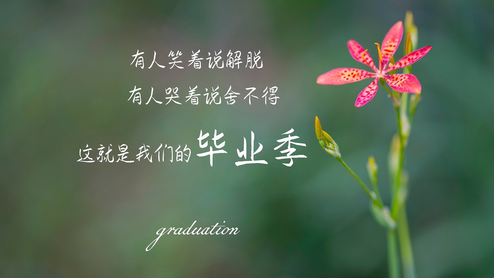 世界学生短道速滑夏训营：冰上姿态调整收获成果，短道速滑 夏季奥运会